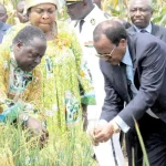 Institut de Recherche Agricole pour le Développement (IRAD) 2